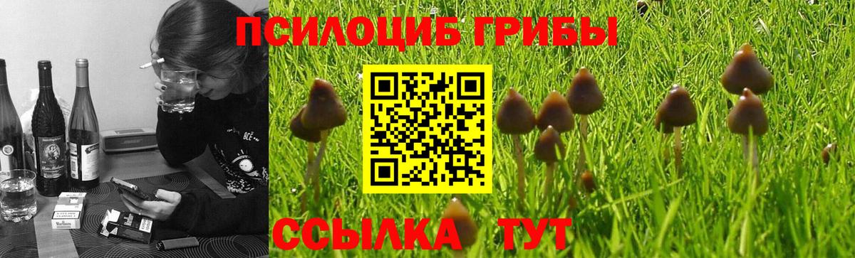 Галлюциногенные грибы мицелий Каменск-Шахтинский