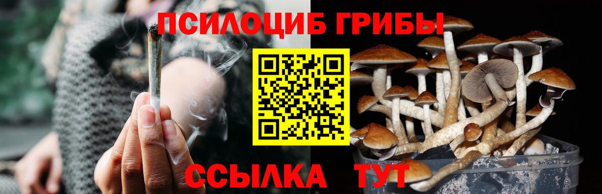 Галлюциногенные грибы прущие грибы  Вход с VPN  Каменск-Шахтинский 